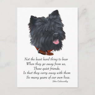 Carte Postale Pont de l'Arc-en-Ciel Terrier Black Cairn