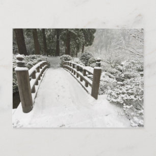 Carte Postale Pont de lune couvert de neige, Jardin Japonais