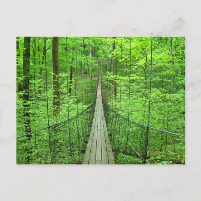 Carte Postale Pont de suspension (Devant)