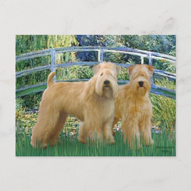 Carte Postale Pont - Deux Terriers à roues (Devant)