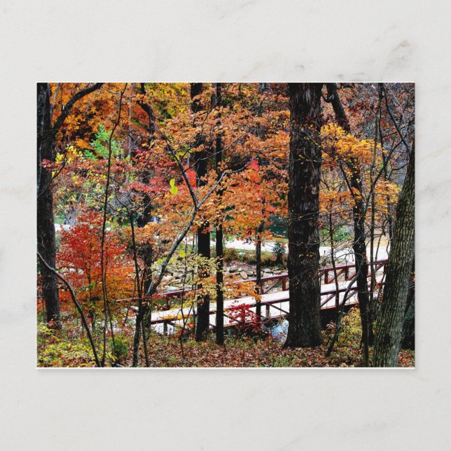 Carte Postale Pont en automne avec feuilles d'arbres / Scénique (Devant)