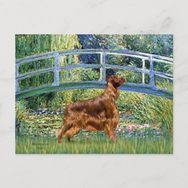 Carte Postale Pont - Irish Setter 3 (Devant)