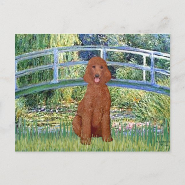 Carte Postale Pont Lily Pond - Poodle rouge foncé N° 1 (Devant)