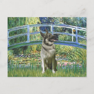 Carte Postale Pont - Norwegian Elkhound