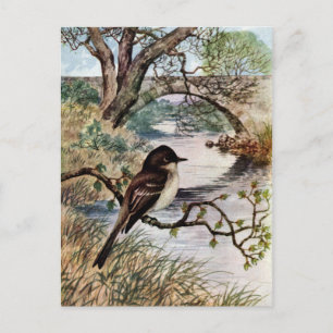 Carte Postale Pont Phoebe et Pierre au-dessus du ruisseau