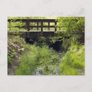 Carte Postale Pont piétonnier au-dessus d'un ruisseau