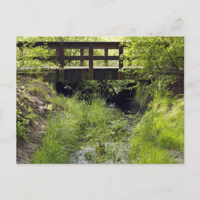 Carte Postale Pont piétonnier au-dessus d'un ruisseau (Devant)