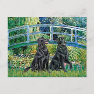 Carte Postale Pont - Retrieur à revêtement plat (deux)