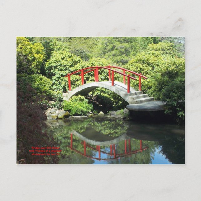 Carte Postale Pont sur l'eau morte (Devant)