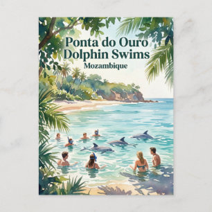 Carte Postale Ponta do Ouro Dauphins Natation Mozambique