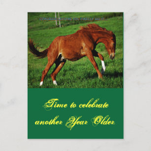 Carte postale Pony Bird