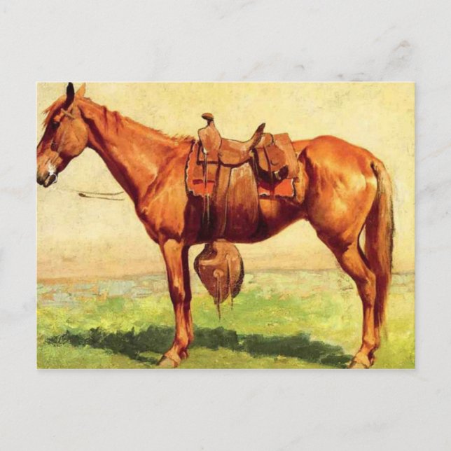 Carte Postale Pony de vache (Devant)