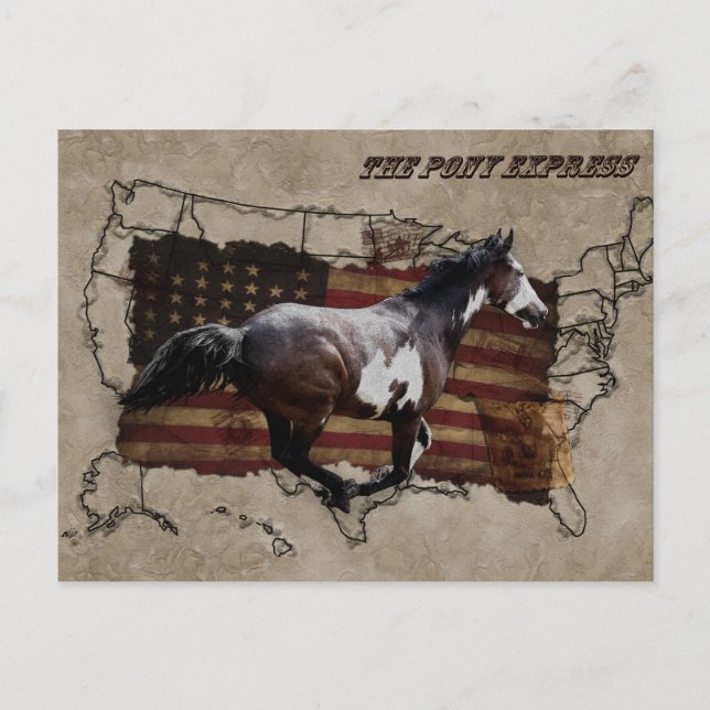 Carte Postale Pony Express Pinto Horse livrant du courrier US (Devant)