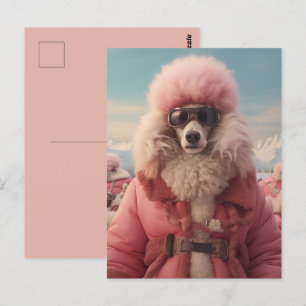 Carte Postale Poodle arctique