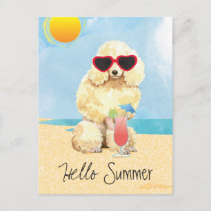 Carte Postale Poodle miniature d'été