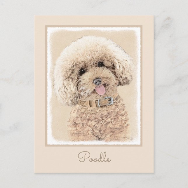 Carte Postale Poodle Miniature Toy Apricot Crème Chien Brown Art (Devant)
