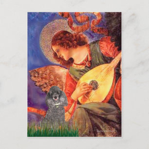 Carte Postale Poodle(s) - Ange au Mandolin