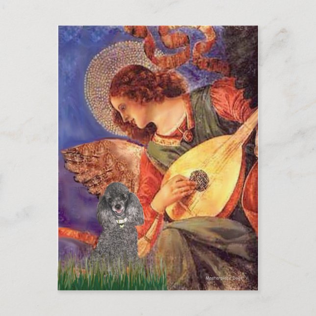 Carte Postale Poodle(S) - Ange Mandolin (Devant)