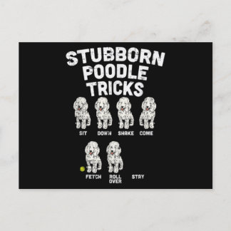 Carte Postale Poodle têtu Tricks drôle Chien Louveur propriétair