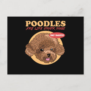 Carte Postale Poodles Are Smarter Dog Owner Poodle