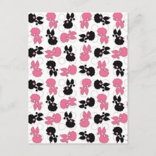 Carte Postale Poodles Chiens Noir et Rose