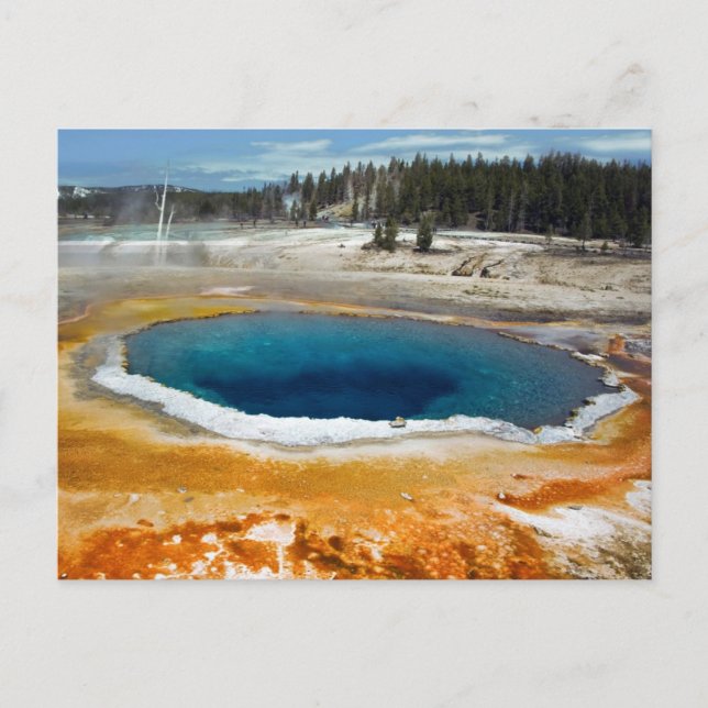 Carte Postale Pool Opal (Devant)