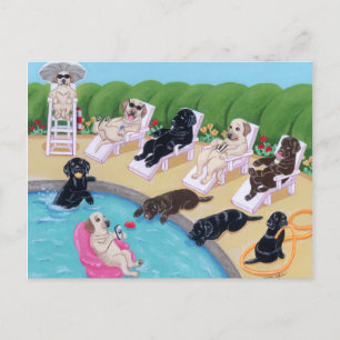 Carte Postale Poolside Party labradors peinture