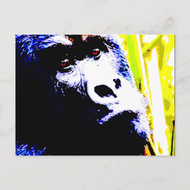 Carte Postale Pop Art Gorilla (Devant)