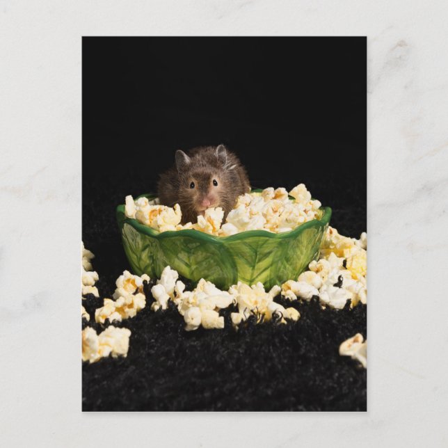 Carte Postale Popcorn (Devant)