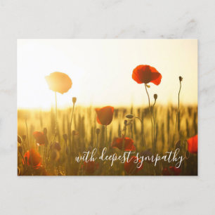 Carte Postale Poppies Rouges En Champ Ouvert Avec Une Sympathie 