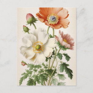 Carte Postale Poppies vintages