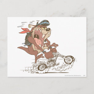 Carte Postale Porc à fente TAZ™