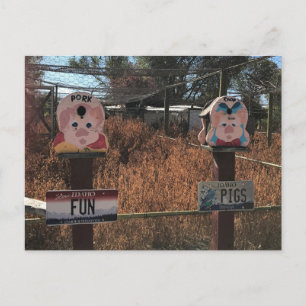 Carte Postale Porc Chop, Fun Pigs, Idaho Drôle Signes