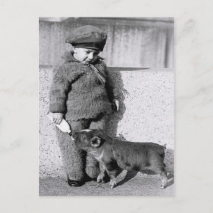 Carte Postale Porcelet nourrissant l'enfant avec du lait en bout