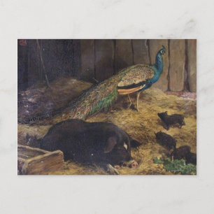 Carte Postale Porcs et paon par Charles Burton Barber en 1878