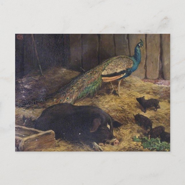Carte Postale Porcs et paon par Charles Burton Barber en 1878 (Devant)