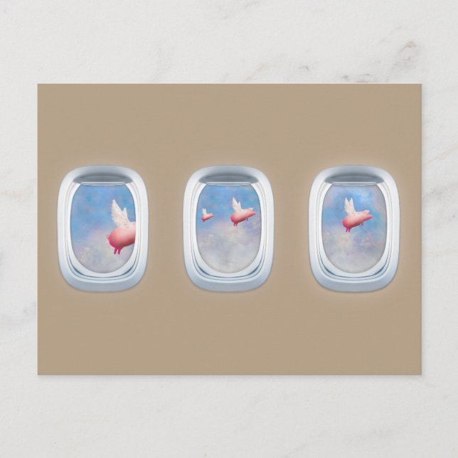 Carte Postale porcs passant devant les fenêtres d'avion (Devant)