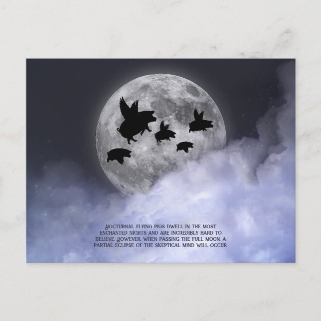 Carte Postale Porcs volants néocturnes (Devant)