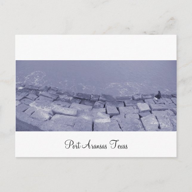 Carte postale Port Aransas (Panoramique) La Pesca (Devant)