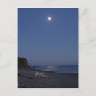 Carte Postale Port de Brookings, Oregon