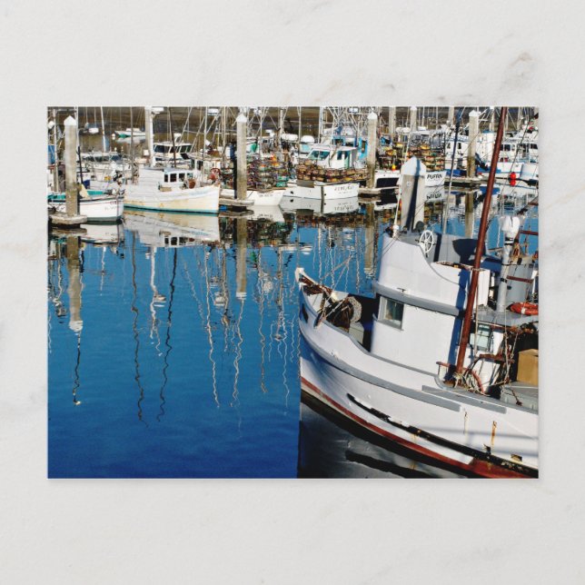 Carte Postale Port de Pillar Point (Devant)