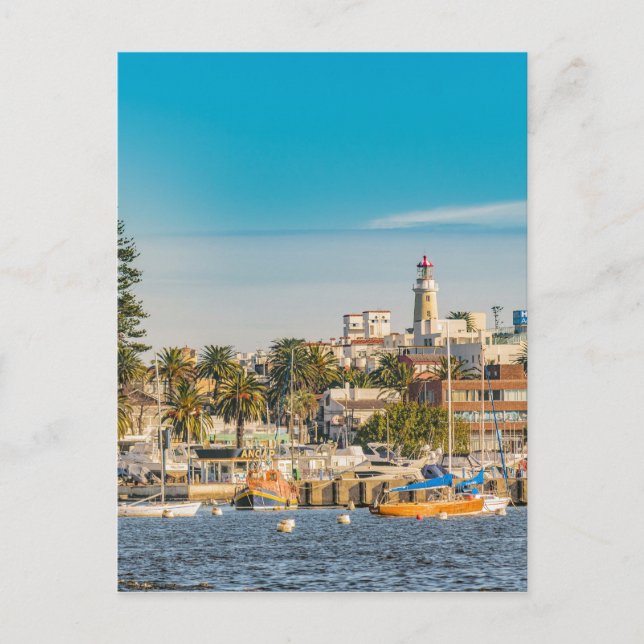 Carte Postale Port de Punta del Este, Uruguay (Devant)