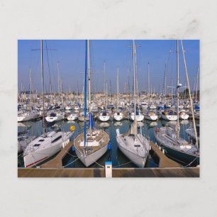 Carte Postale Port de Saint-Vaast-la-Hougue en France