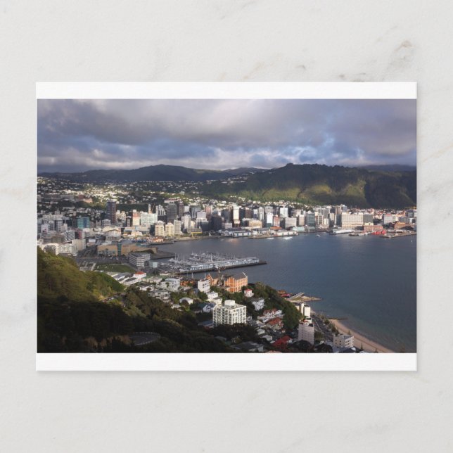 Carte Postale Port de Wellington, Nouvelle-Zélande (Devant)
