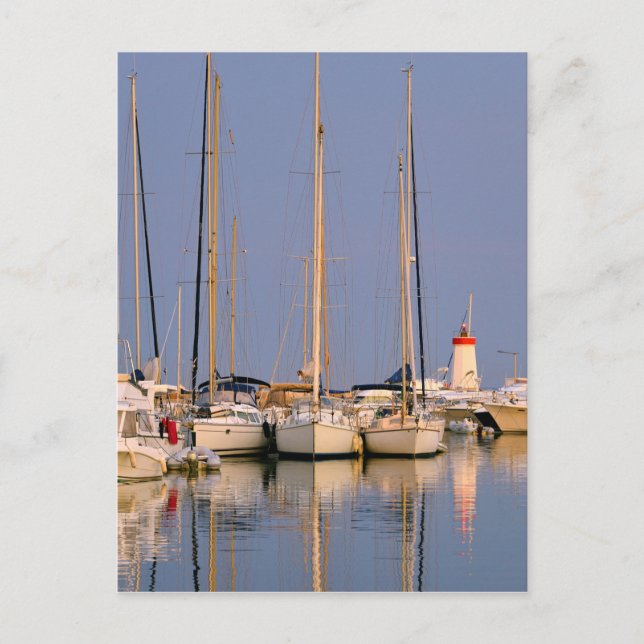 Carte Postale Port d'Hyères les Palmiers (Devant)