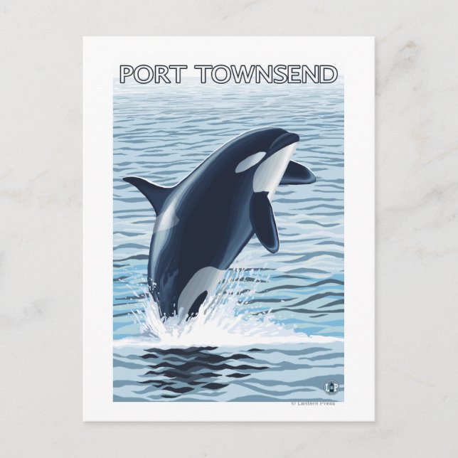 Carte Postale Port Townsend, Washington Orca Jumping (Devant)