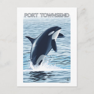 Carte Postale Port Townsend, Washington Orca Jumping
