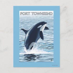 Carte Postale Port Townsend, Washington Orca Jumping