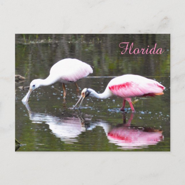 Carte postale Porte-Cartes (Devant)