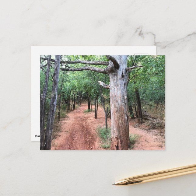 Carte postale Porte et sentier de la nature (Devant/Arrière en situation)